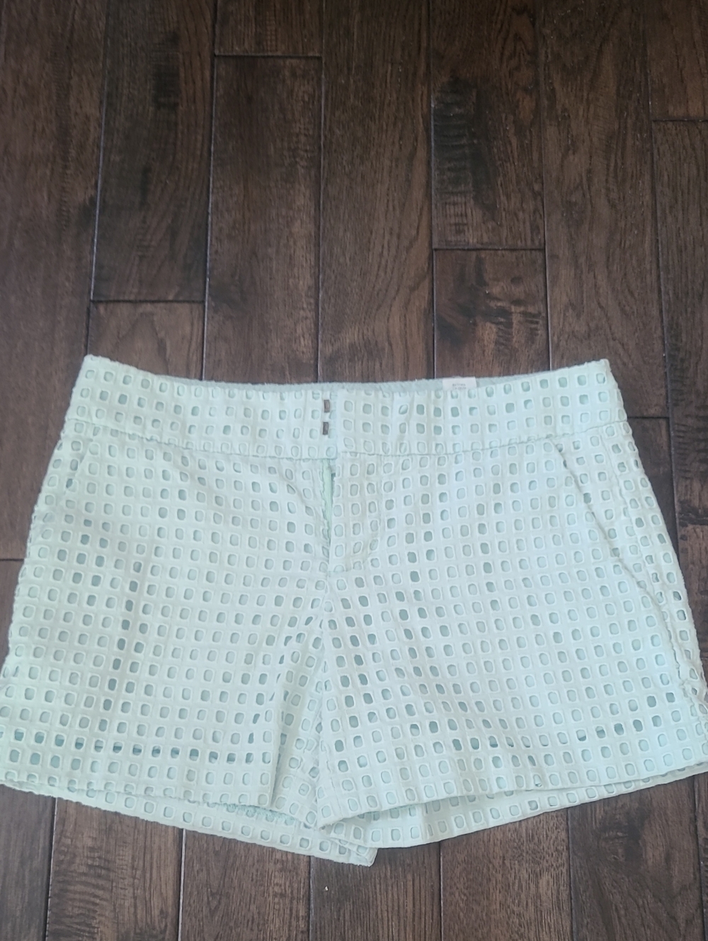 Club Monaco Shorts - Light Green Size 2